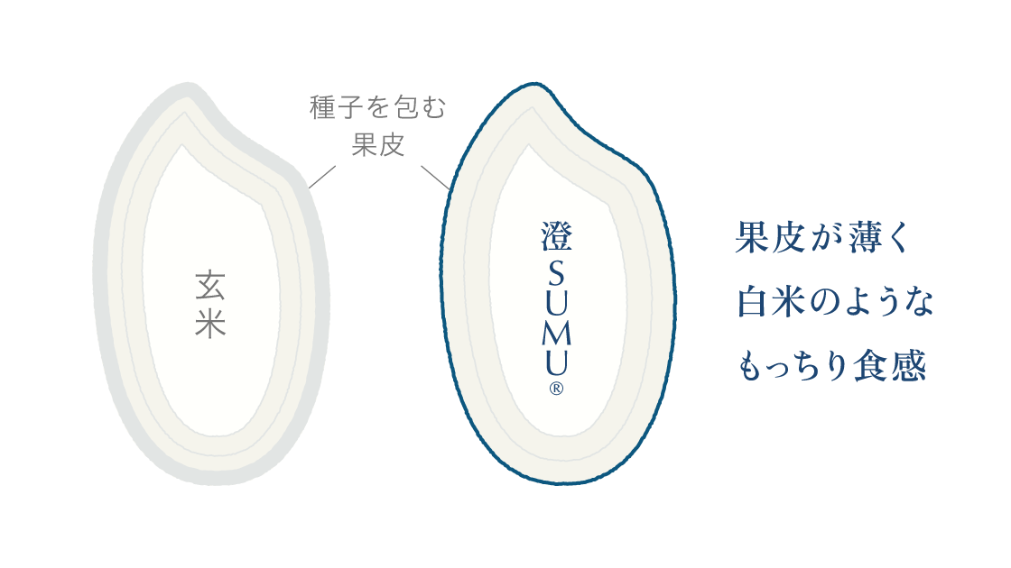 画像タイトル